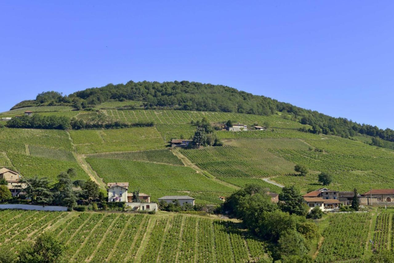 Appartement Cosy Au Coeur Du Beaujolais Saint-Lager Dış mekan fotoğraf